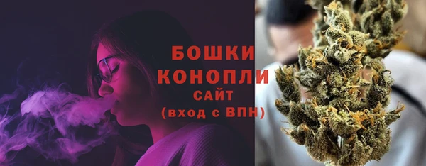 PSILOCYBIN Дмитриев